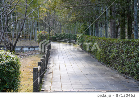 日本庭園の路地 日本庭園の路地 87120462