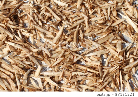 皮付きゴボウのささがき、新聞の上で天日干し乾燥、手作りゴボウ茶の作り方その一 87121521