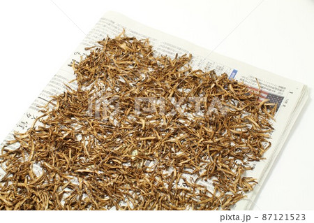 皮付きゴボウのささがき、日干し乾燥、自家製ゴボウ茶の作り方その一 87121523