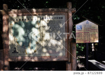 小谷城　曲輪と風景 87122699