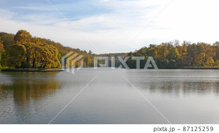 Autumn leaves fall in the forest, natural landscape 87125259