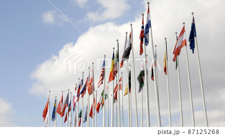 Various national flags with the EU flag under a blue sky. 87125268
