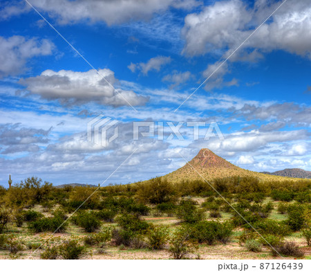 Sonora Desert 87126439