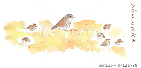 冬、草むらで食べ物を探すツグミとスズメの水彩画イラスト 87126739