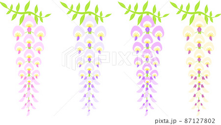 色とりどりの藤の花のイラスト 87127802