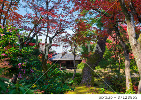 京都　無鄰菴の紅葉 87128865