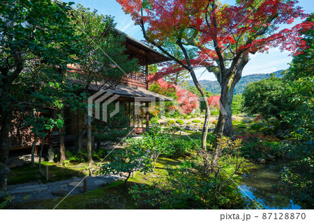 京都 無鄰菴の紅葉 京都 無鄰菴の紅葉 87128870