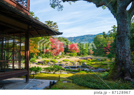 京都　無鄰菴の紅葉　　 87128967