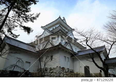 冬の大垣城公園散策・1(岐阜県大垣市:大垣城公園) 冬の大垣城公園散策・1(岐阜県大垣市:大垣城公園) 87129220