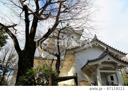 冬の大垣城公園散策・2（岐阜県大垣市：大垣城公園） 87129221