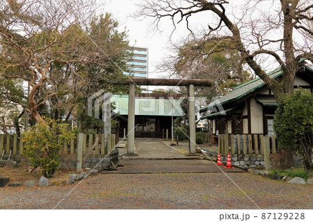 冬の大垣城公園散策・9（岐阜県大垣市：大垣城公園） 87129228