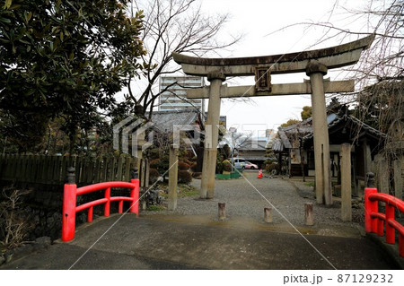 冬の大垣城公園散策・13（岐阜県大垣市：大垣城公園） 87129232