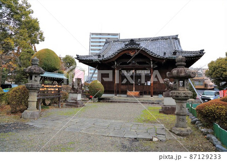 冬の大垣城公園散策・14（岐阜県大垣市：大垣城公園） 87129233