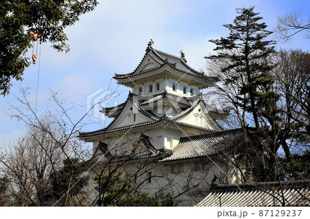 冬の大垣城公園散策・18(岐阜県大垣市:大垣城公園) 冬の大垣城公園散策・18(岐阜県大垣市:大垣城公園) 87129237