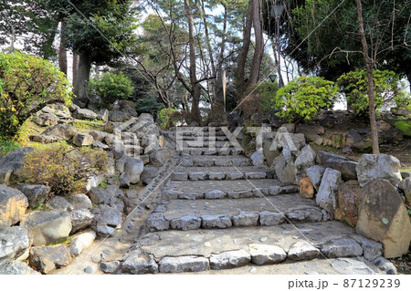冬の大垣城公園散策・20(岐阜県大垣市:大垣城公園) 冬の大垣城公園散策・20(岐阜県大垣市:大垣城公園) 87129239
