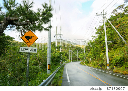 沖縄本島北部　やんばるの風景　注意 87130007