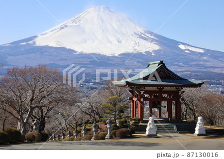 御殿場平和公園から望む冠雪の富士山の絶景 御殿場平和公園から望む冠雪の富士山の絶景 87130016