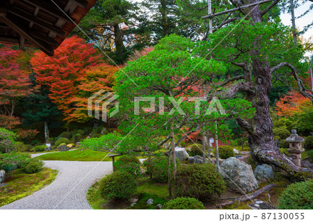 京都　曼殊院門跡の紅葉 87130055