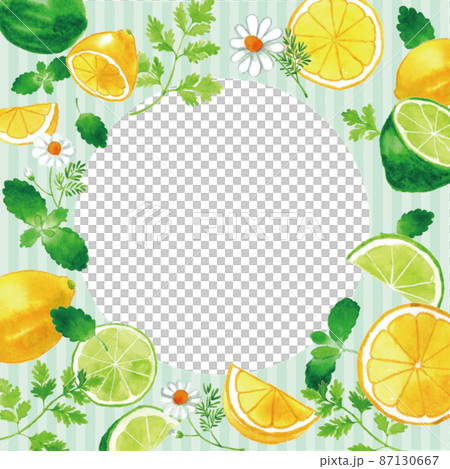 Lemon, lime, mint, herb frame watercolor hand drawn illustration 87130667