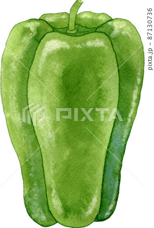 ピーマンのイラスト(1個)のイラスト素材 [87130736] - PIXTA