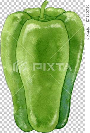 ピーマンのイラスト(1個)のイラスト素材 [87130736] - PIXTA