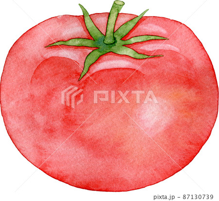 トマトのイラスト(1個) 87130739