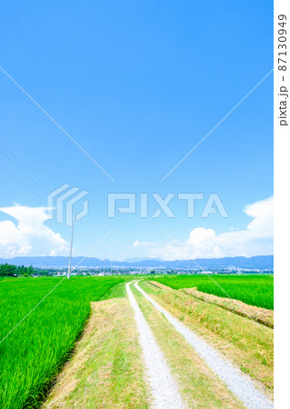 夏の農村風景 87130949