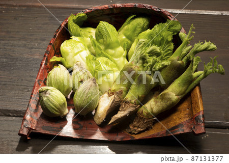 春の山菜 春の山菜 87131377