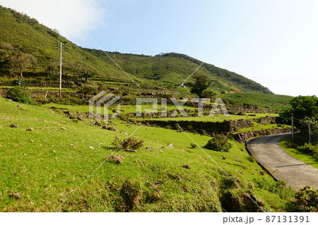 世界遺産野首教会と野崎島の風景(長崎県北松浦郡小値賀島) 87131391