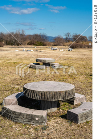 冬の淀川河川公園 87133029