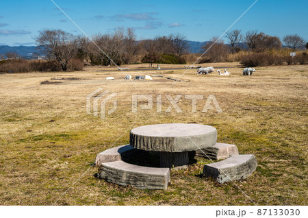 冬の淀川河川公園 87133030
