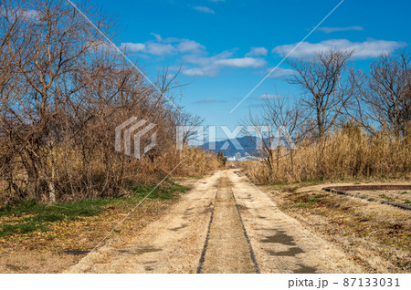 冬の淀川河川公園遊歩道 87133031