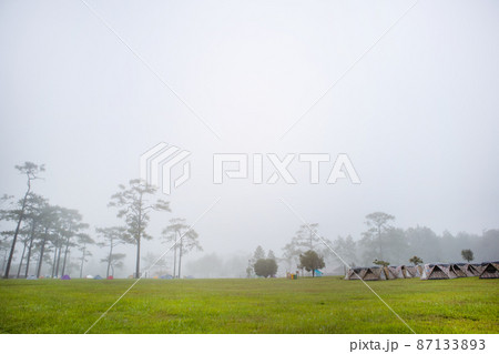 Camping and tent in nature and morning with fog. Camping and tent in nature and morning with fog. 87133893