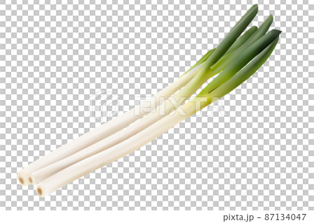 Long green onion white background Long green onion white background 87134047
