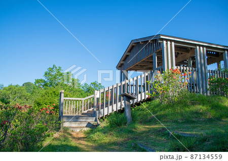 赤城白樺牧場 見晴山展望台 初夏の風景 赤城白樺牧場 見晴山展望台 初夏の風景 87134559