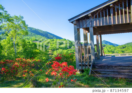 赤城白樺牧場　見晴山展望台付近　初夏の風景　　　 87134597