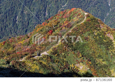 紅葉の万太郎山・伍策新道を行く登山者 87136160