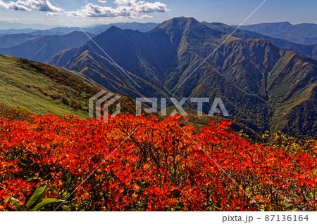 谷川連峰・万太郎山の紅葉と仙ノ倉山方面の眺め 谷川連峰・万太郎山の紅葉と仙ノ倉山方面の眺め 87136164
