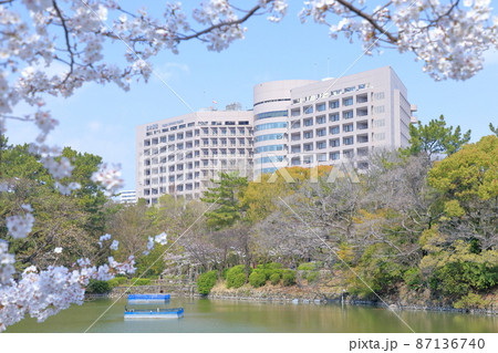 鶴舞公園から見る名大病院（名古屋大学医学部附属病院　桜　愛知県 名古屋市） 87136740