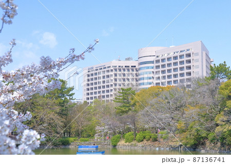 鶴舞公園から見る名大病院(名古屋大学医学部附属病院 桜 愛知県 名古屋市) 鶴舞公園から見る名大病院(名古屋大学医学部附属病院 桜 愛知県 名古屋市) 87136741