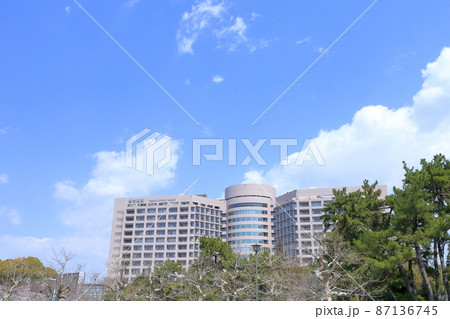 鶴舞公園から見る名大病院(名古屋大学医学部附属病院 桜 愛知県 名古屋市) 鶴舞公園から見る名大病院(名古屋大学医学部附属病院 桜 愛知県 名古屋市) 87136745