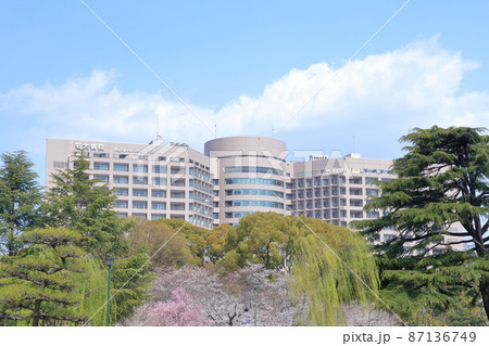 鶴舞公園から見る名大病院(名古屋大学医学部附属病院 桜 愛知県 名古屋市) 鶴舞公園から見る名大病院(名古屋大学医学部附属病院 桜 愛知県 名古屋市) 87136749