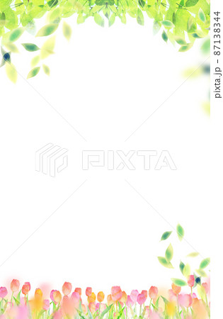 チューリップ　背景素材　水彩イラスト 87138344