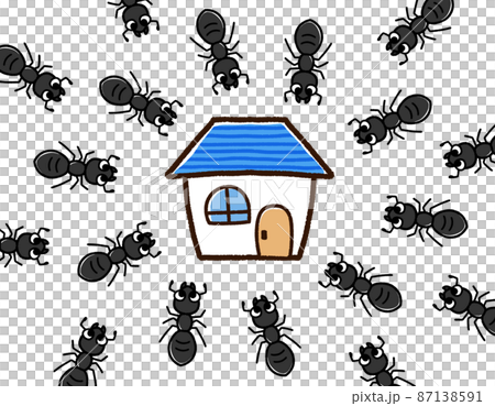 家に集まるクロアリ達 87138591