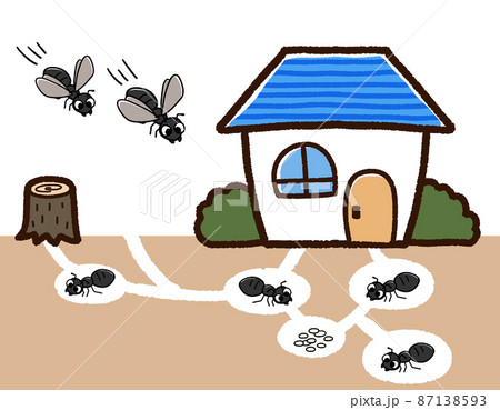クロアリが住み着いている家の図解 87138593