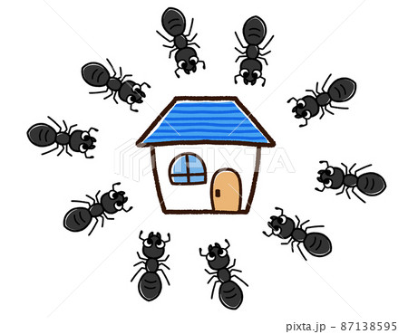 家に集まるクロアリ達 家に集まるクロアリ達 87138595