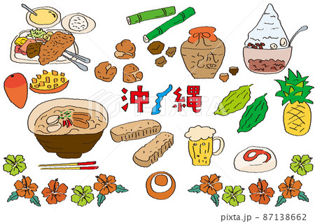 手描きの沖縄イラストセット 87138662