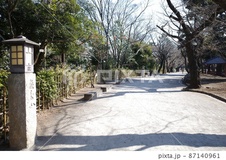 北区王子の飛鳥山公園内の歩道 北区王子の飛鳥山公園内の歩道 87140961