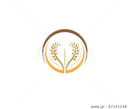 Wheat vector icon 87141248