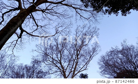 Cor studio. 自然写真 Cor studio. 自然写真 87142466